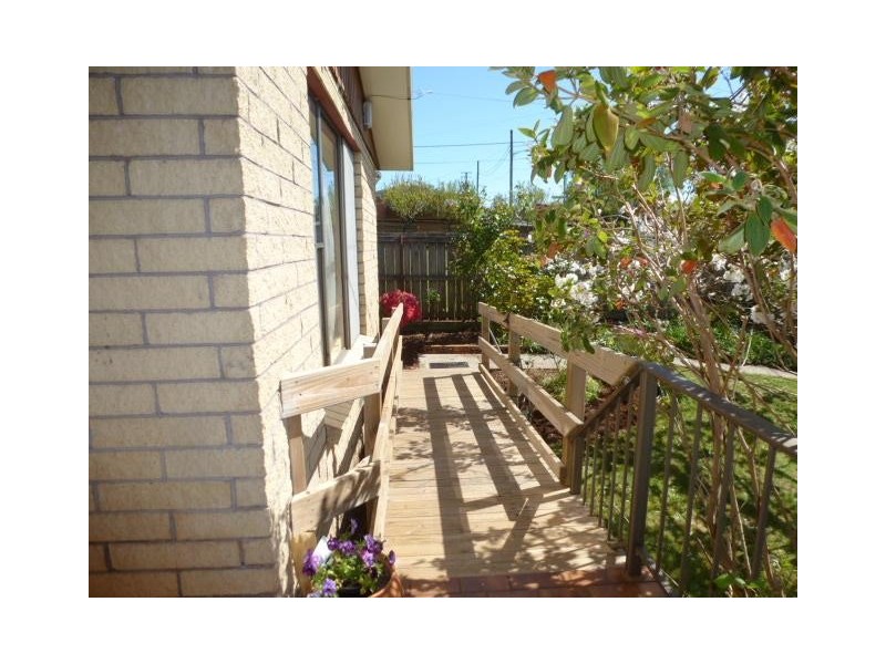 14 Hedley Street, Scottsdale TAS 7260