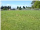 ** Beattie Street, Scottsdale TAS 7260