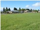 ** Beattie Street, Scottsdale TAS 7260