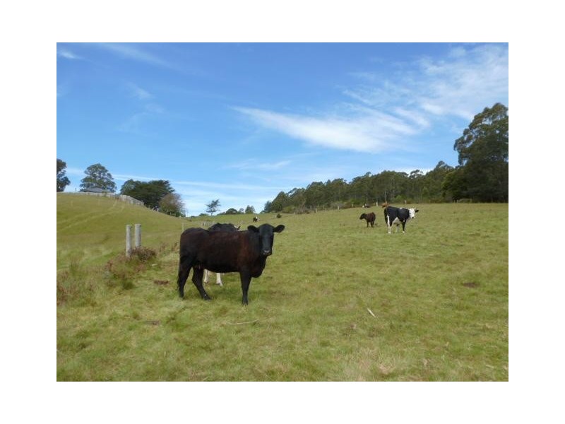 10 Scott Street, Branxholm TAS 7261