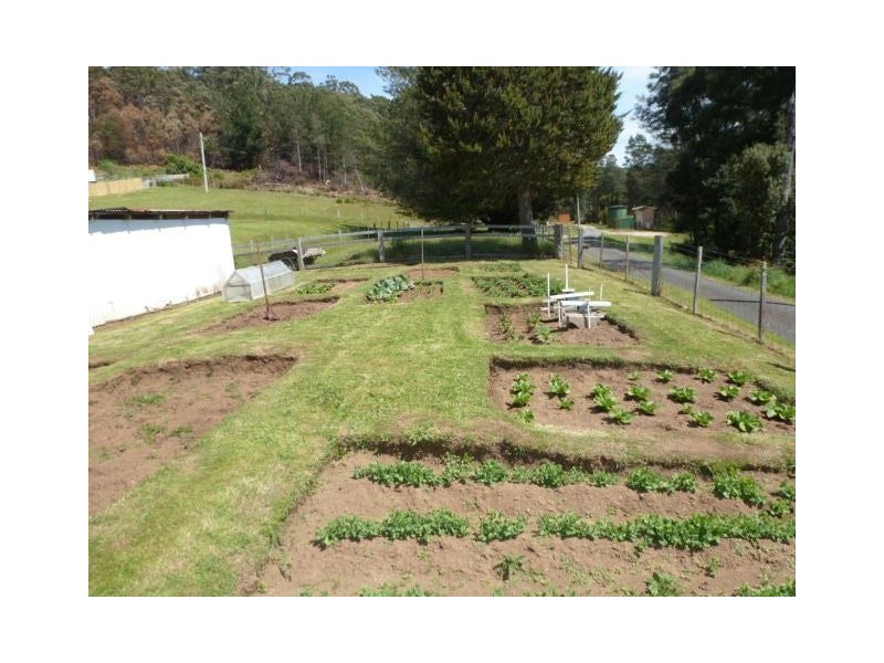 10 Scott Street, Branxholm TAS 7261