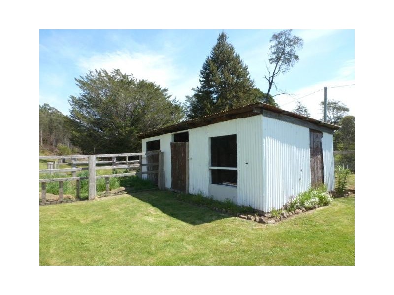 * Scott Street, Branxholm TAS 7261