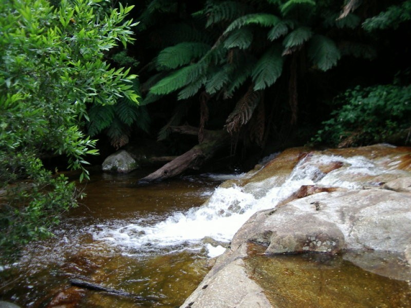 Mutual Road, Derby TAS 7264