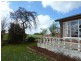 246 Racecourse Road, Winnaleah TAS 7265