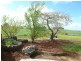 246 Racecourse Road, Winnaleah TAS 7265