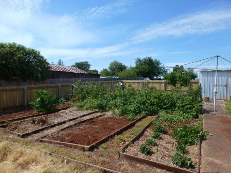 48 George Street, Scottsdale TAS 7260