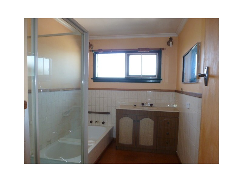 * Racecourse Road, Winnaleah TAS 7265