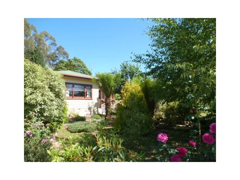 8 Rosier Road, Ringarooma TAS 7263