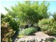 8 Rosier Road, Ringarooma TAS 7263
