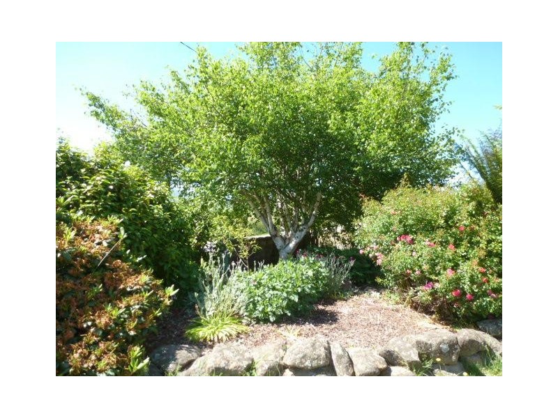 8 Rosier Road, Ringarooma TAS 7263