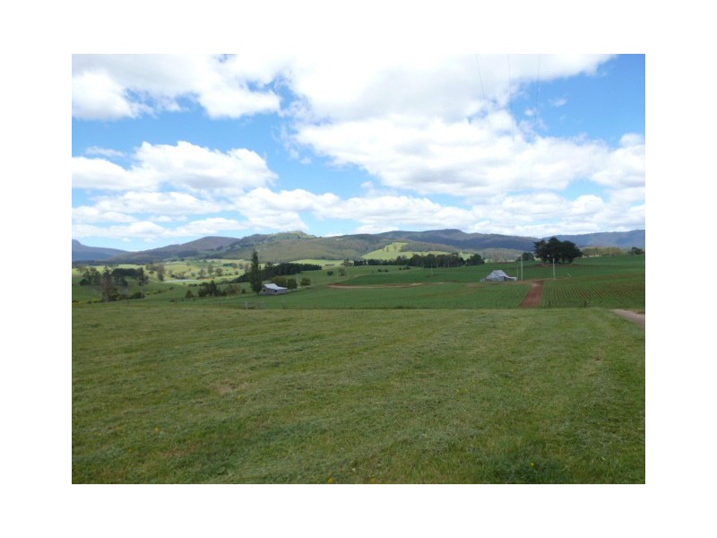 252 East Maurice Road, Ringarooma TAS 7263