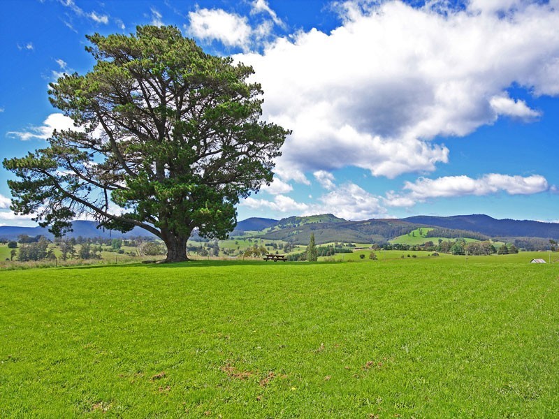 252 East Maurice Road, Ringarooma TAS 7263
