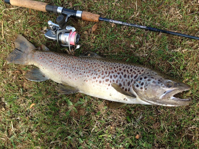 252 East Maurice Road, Ringarooma TAS 7263