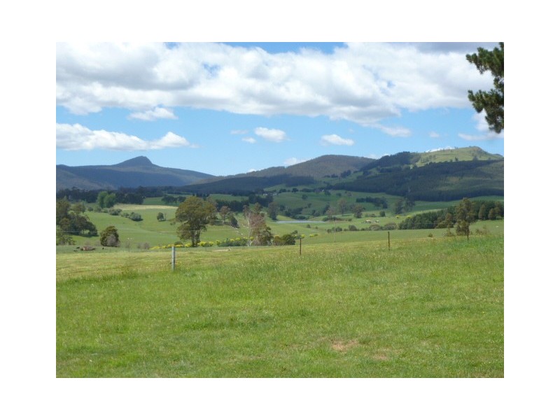 * East Maurice Road, Ringarooma TAS 7263