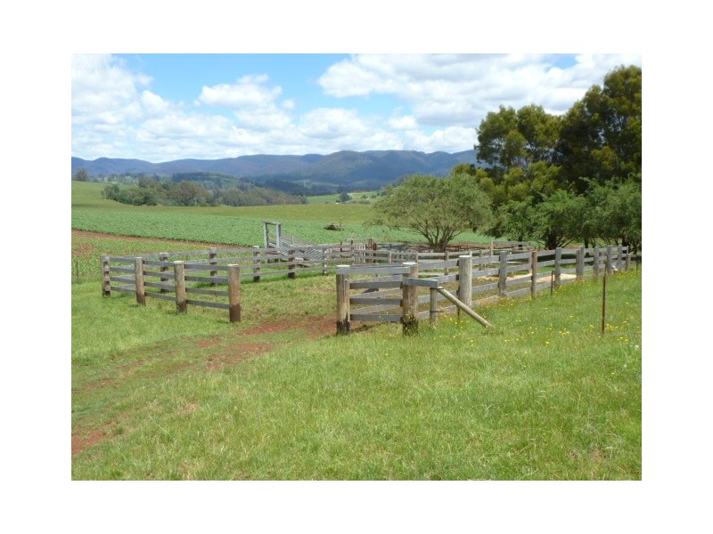 * East Maurice Road, Ringarooma TAS 7263