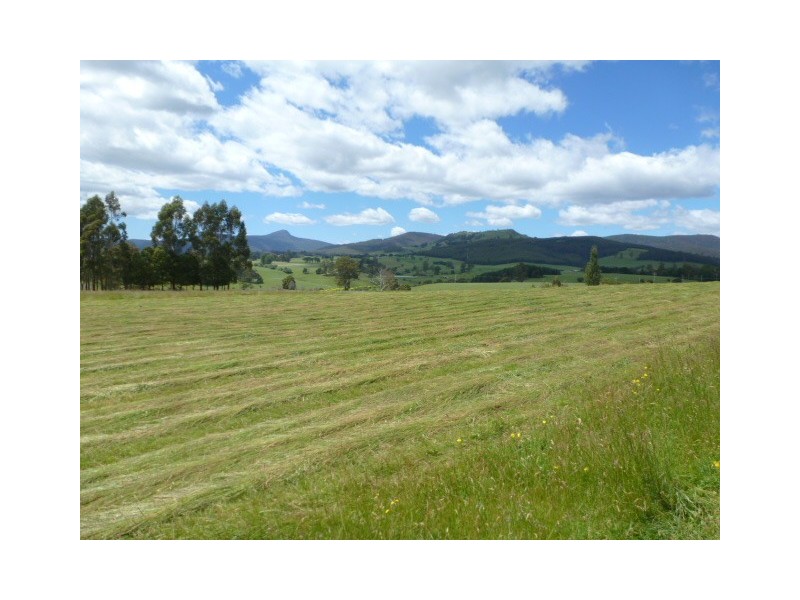 * East Maurice Road, Ringarooma TAS 7263