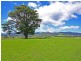 * East Maurice Road, Ringarooma TAS 7263