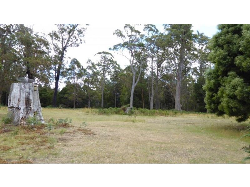 280 Oakdene Road, Lietinna TAS 7260