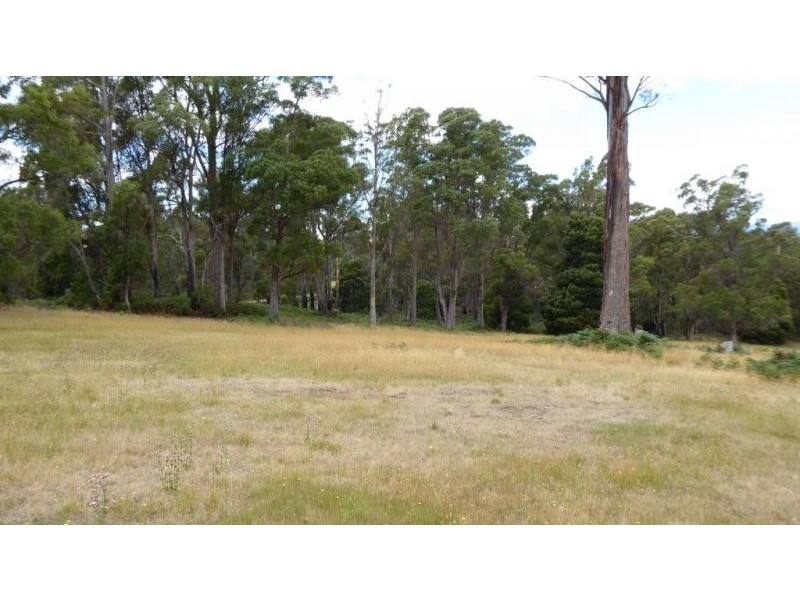 280 Oakdene Road, Lietinna TAS 7260