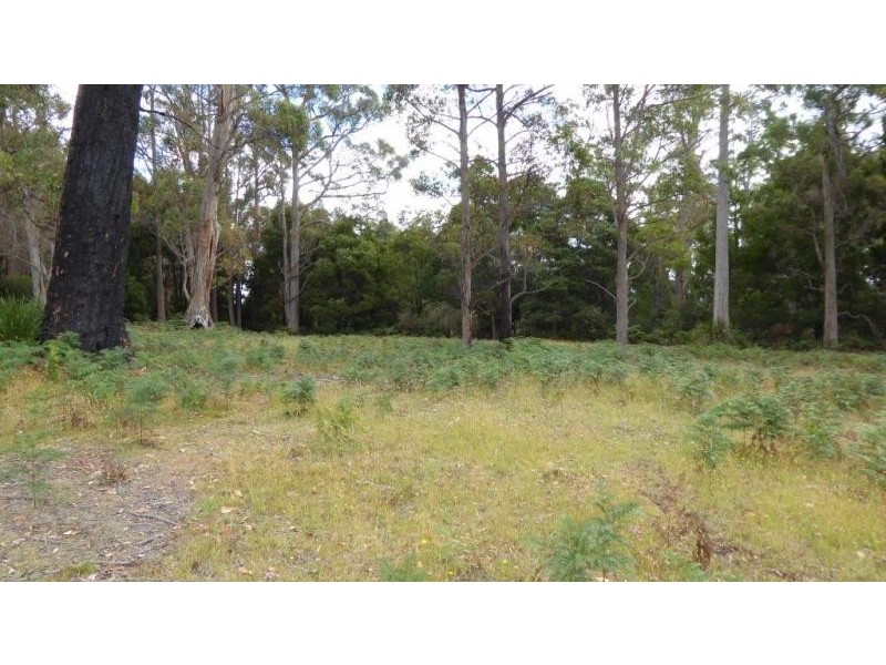 280 Oakdene Road, Lietinna TAS 7260