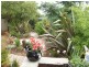 1 Willow Court, Winnaleah TAS 7265