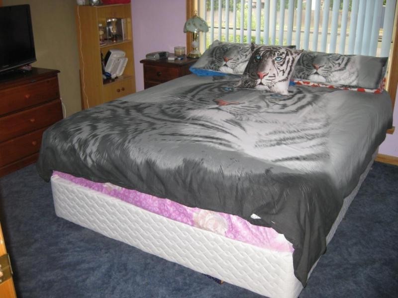 2 Beattie Street, Scottsdale TAS 7260