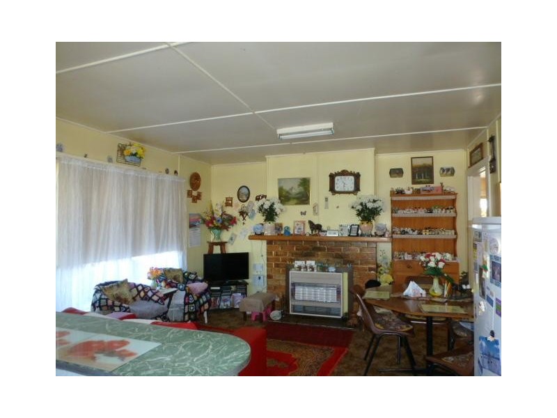 31 Gofton Street, Scottsdale TAS 7260