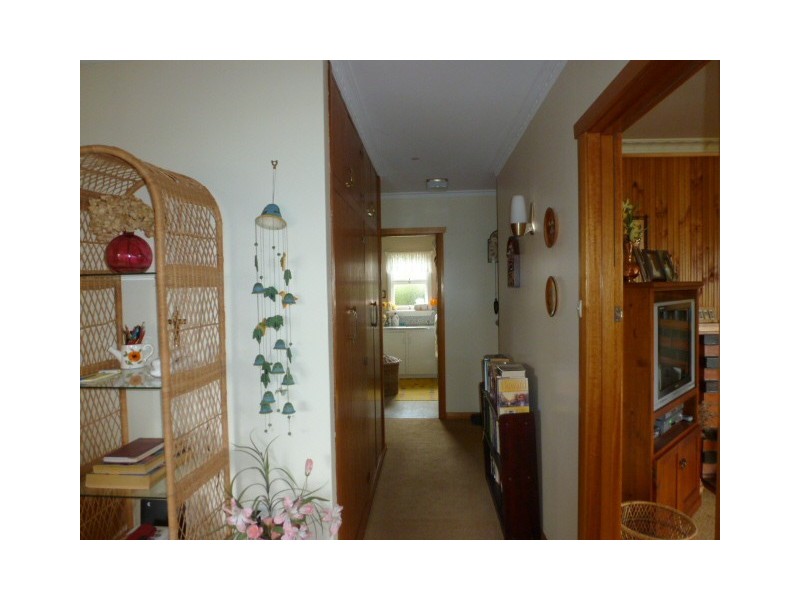 19 Ada Street, Scottsdale TAS 7260