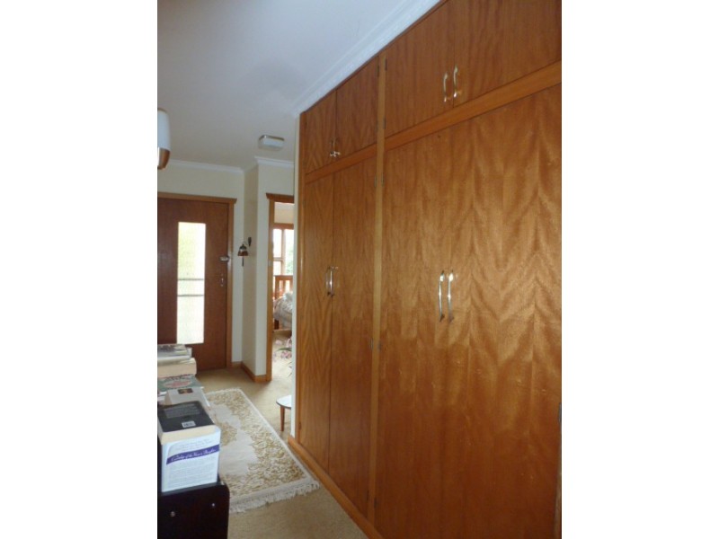 19 Ada Street, Scottsdale TAS 7260