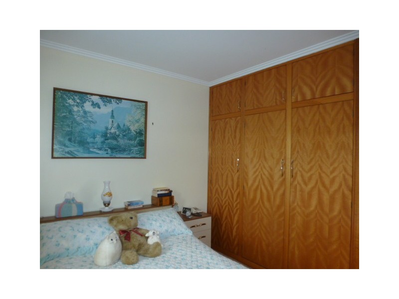 19 Ada Street, Scottsdale TAS 7260