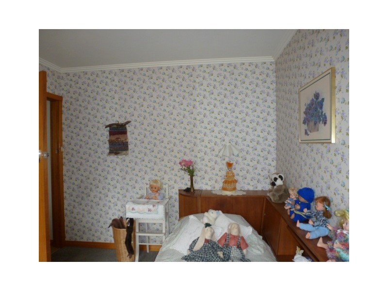 19 Ada Street, Scottsdale TAS 7260