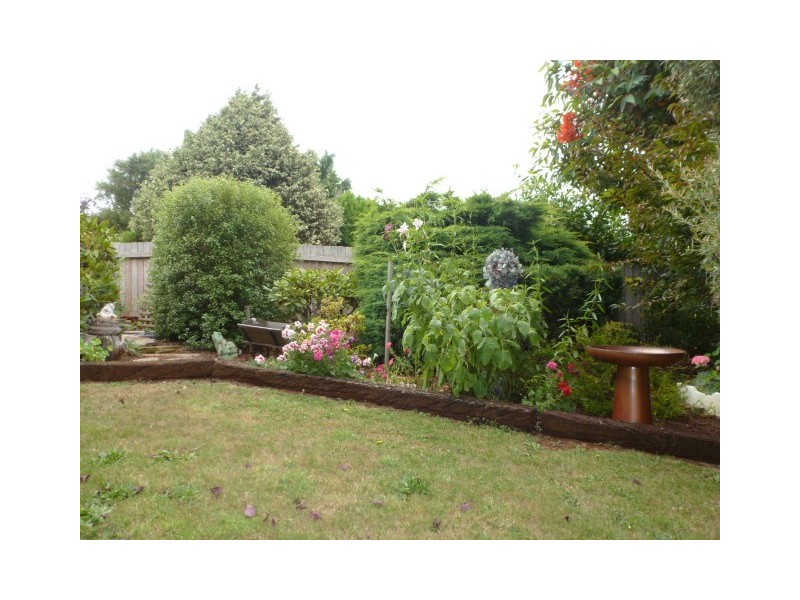 19 Ada Street, Scottsdale TAS 7260