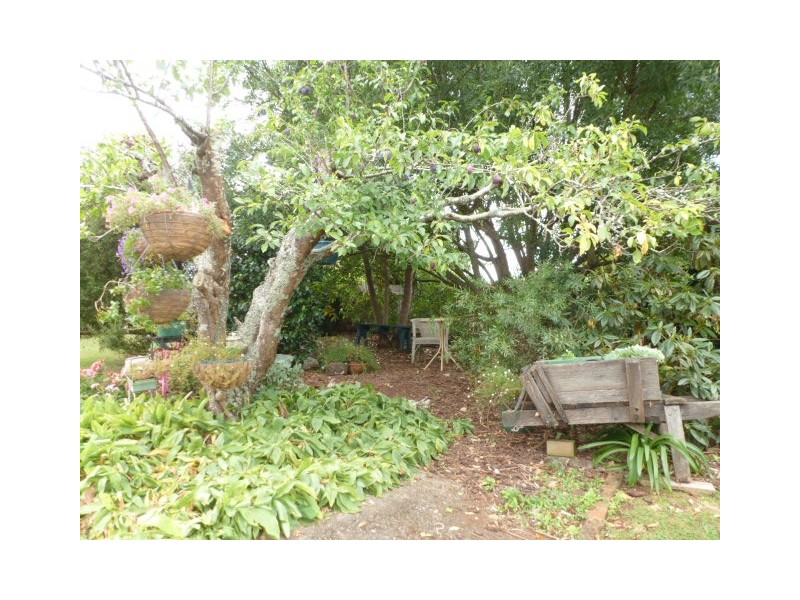 19 Ada Street, Scottsdale TAS 7260