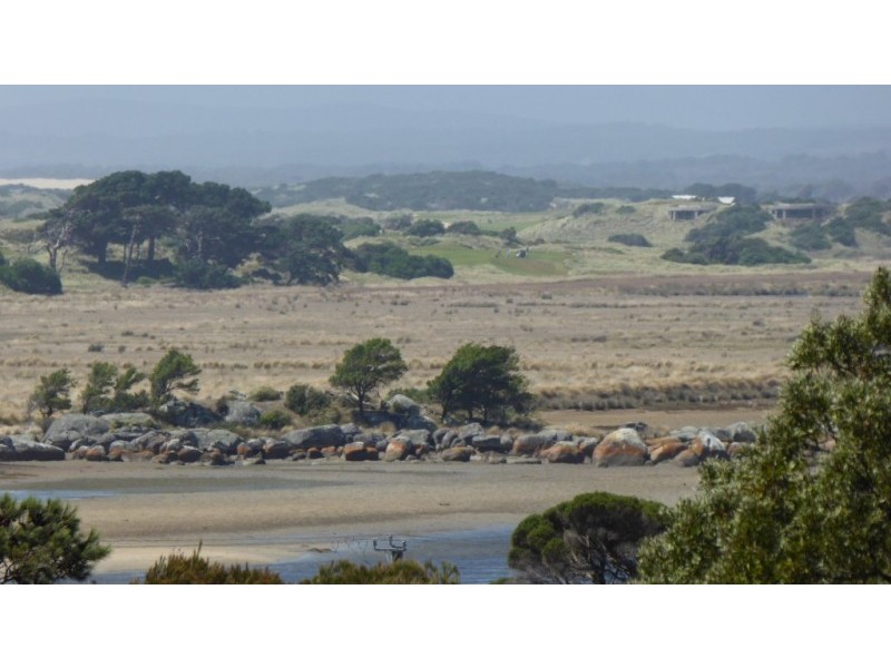 11 Bridview Place, Bridport TAS 7262