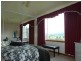 16 Albert Street, Branxholm TAS 7261