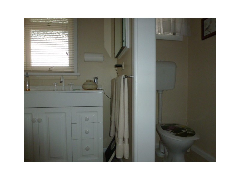 16 Albert Street, Branxholm TAS 7261