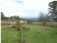16 Albert Street, Branxholm TAS 7261