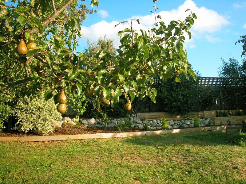 10 Charles Street, Scottsdale TAS 7260