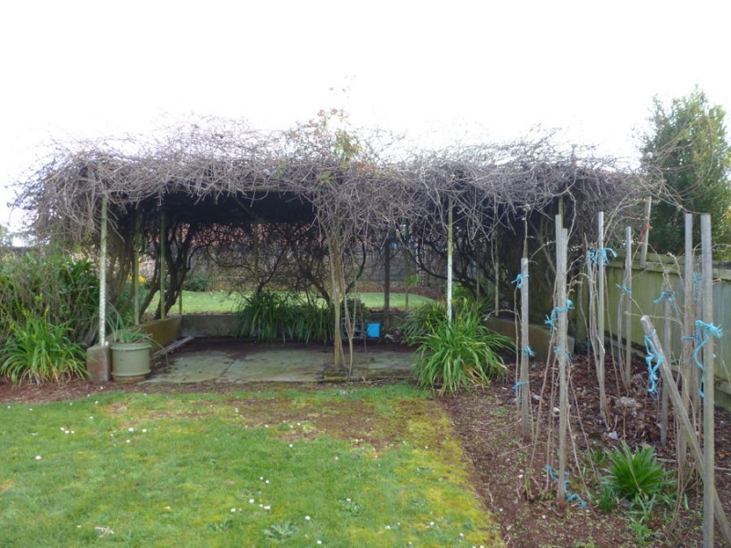 68 King Street, Scottsdale TAS 7260