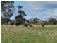 18A CARR, Gladstone TAS 7264
