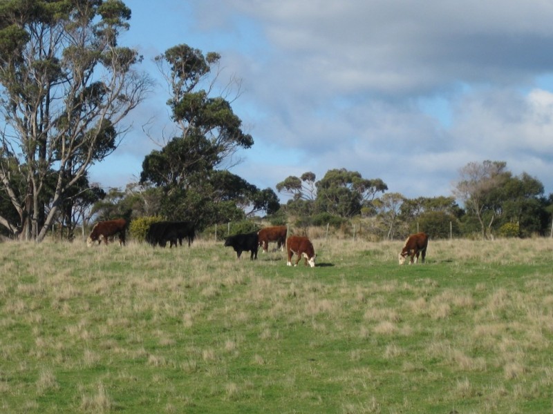 18A CARR, Gladstone TAS 7264