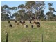18A CARR, Gladstone TAS 7264