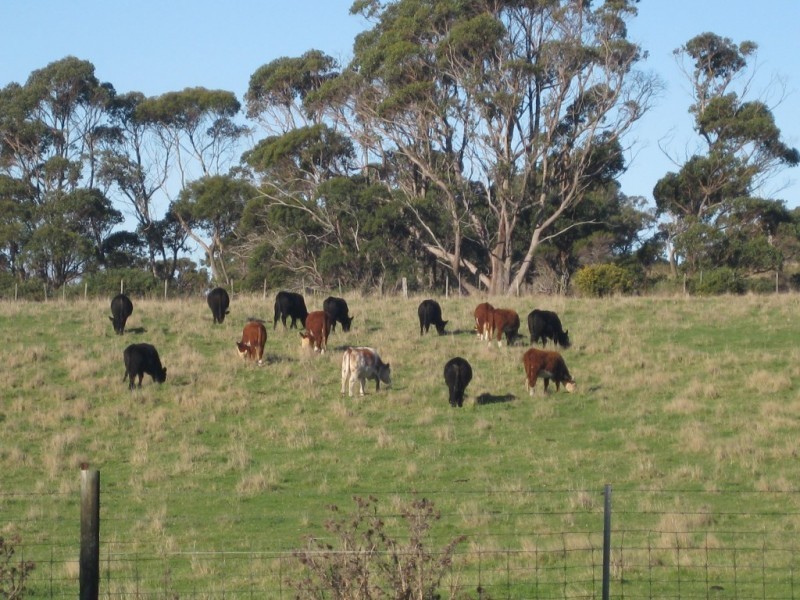 18A CARR, Gladstone TAS 7264
