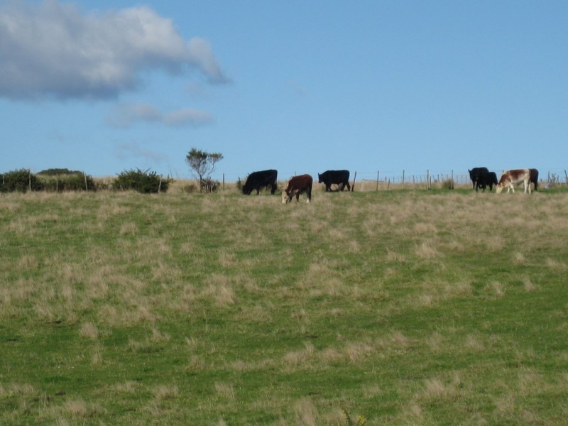 18A CARR, Gladstone TAS 7264