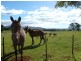 ** Ruby Flats Road, Ringarooma TAS 7263