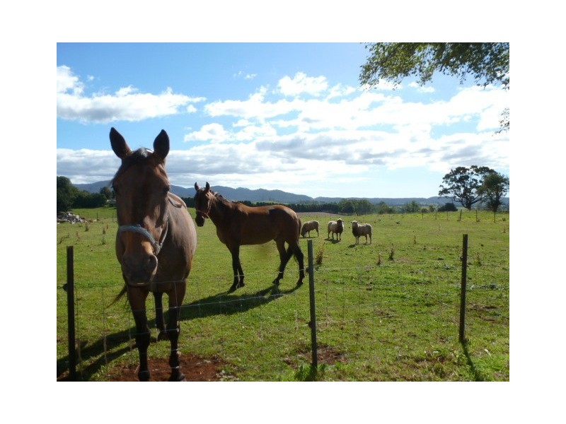** Ruby Flats Road, Ringarooma TAS 7263