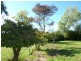 ** Ruby Flats Road, Ringarooma TAS 7263