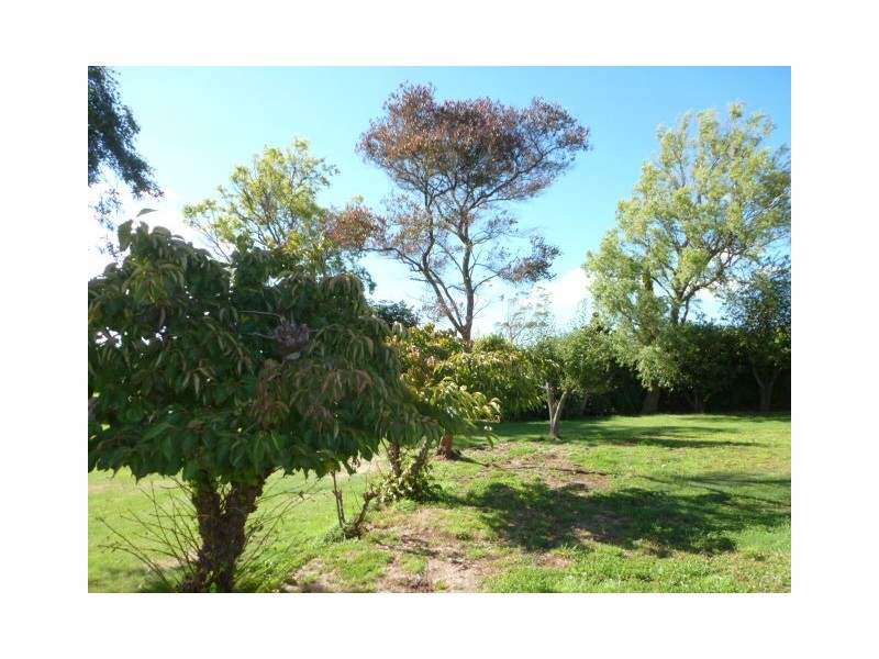 ** Ruby Flats Road, Ringarooma TAS 7263