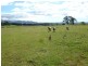 ** Ruby Flats Road, Ringarooma TAS 7263