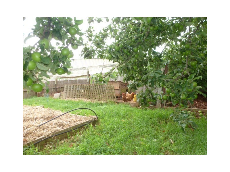 10 Charles Street, Scottsdale TAS 7260